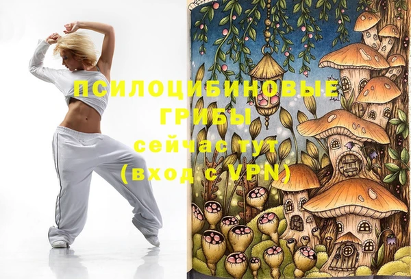 мяу мяу мука Новозыбков