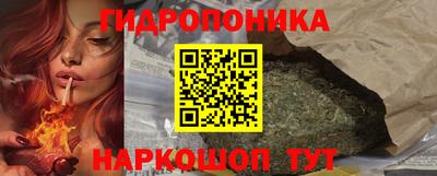 индика Мариинск