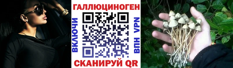 Галлюциногенные грибы Cubensis  где можно купить наркотик  Елец 