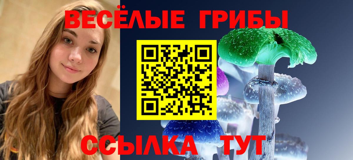 Меф МЯУ МЯУ   ГАШ  Елец  АМФ кристаллы  Вход с VPN  Каннабис 
